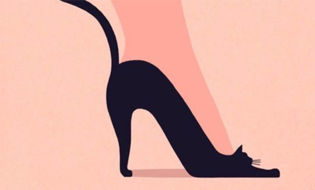 gatto o scarpa