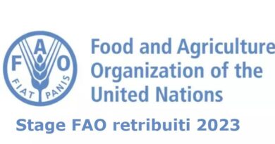 FAO stage 2023