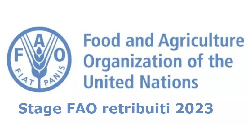 FAO stage 2023